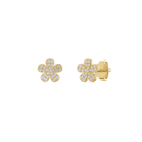 HOER0138 - Yellow Gold - Product