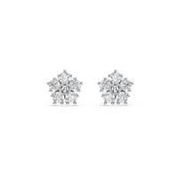 HOER0050 - White Gold - Product