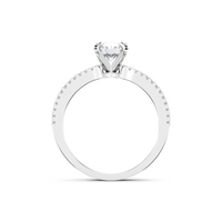 HORN0163 - White Gold - Product