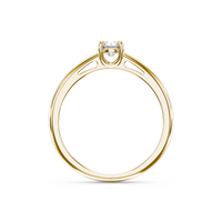 HORN0007 - Yellow Gold - Product