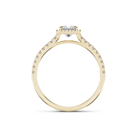 HORN0250 - Yellow Gold - Product