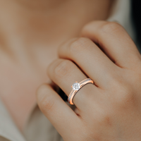 HORN0040 - Rose Gold - Model