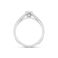 HORN0606 - White Gold - Product
