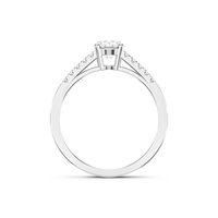 HORN0603 - White Gold - Product