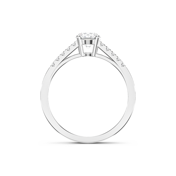 HORN0603 - White Gold - Product