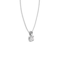 HOPN0026 - White Gold - Product