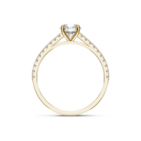 HORN0227 - Yellow Gold - Product