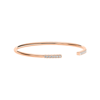 HOBN0062 - Rose Gold - Product