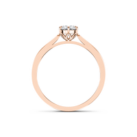 HORN0134 - Rose Gold - Product