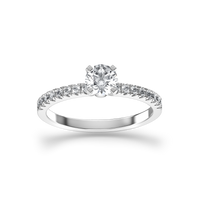 HORN0037 - White Gold - Product