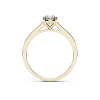 HORN0048 - Yellow Gold - Product