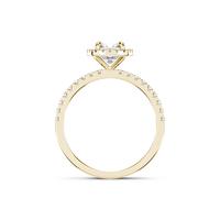 HORN0286 - Yellow Gold - Product