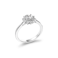 HORN0536 - White Gold - Product