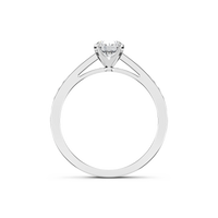 HORN0040 - White Gold - Product