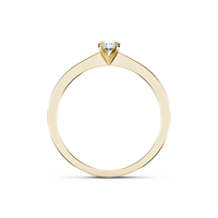 HORN0055 - Yellow Gold - Product