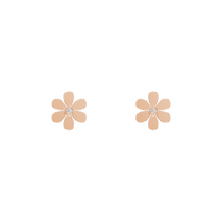 HOER0104 - Rose Gold - Product