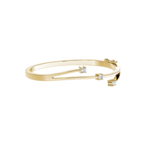 HOBN0010 - Yellow Gold - Product