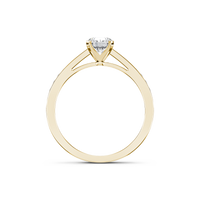 HORN0040 - Yellow Gold - Product