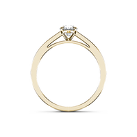 HORN0242 - Yellow Gold - Product