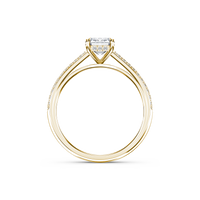 HORN0035 - Yellow Gold - Product