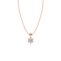 HOPN0037 - Rose Gold - Product