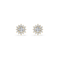 HOER0052 - Yellow Gold - Product
