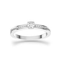 HORN0055 - White Gold - Product