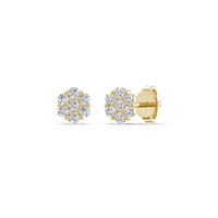 HOER0016 - Yellow Gold - Product