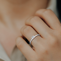 HORN0003 - White Gold - Model