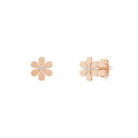 HOER0104 - Rose Gold - Product